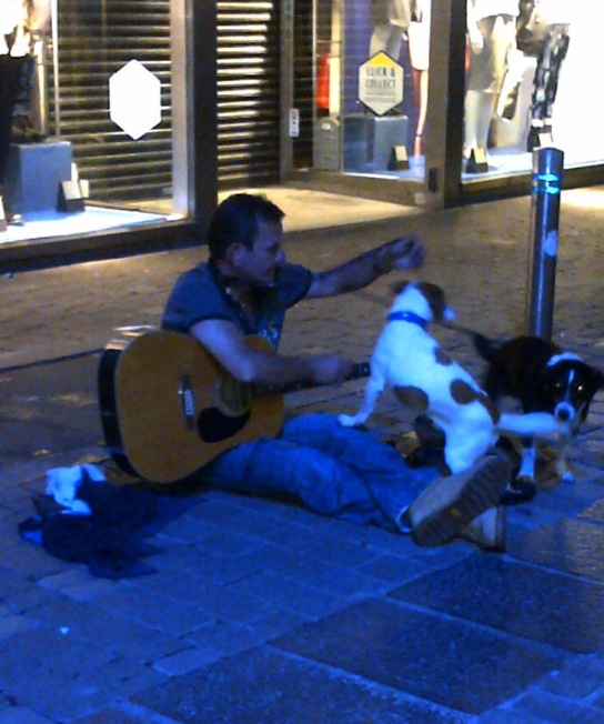 Homeless man and dogs  2 IMG-20140912-00118